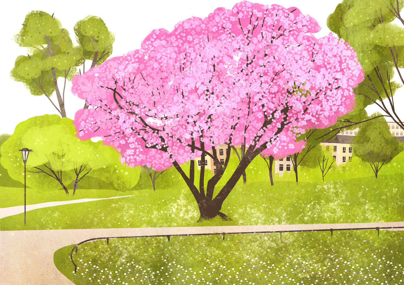 Background